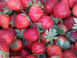 孕婦冬天能吃草莓嗎？孕婦冬天吃草莓好嗎？