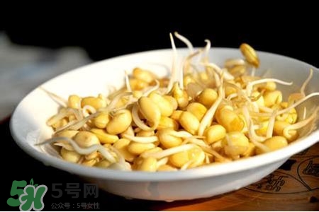 冬天可以發(fā)豆芽嗎？冬天怎樣發(fā)黃豆芽？