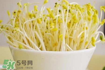 冬天可以發(fā)豆芽嗎？冬天怎樣發(fā)黃豆芽？