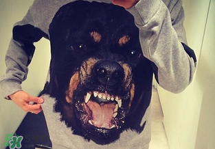 紀(jì)梵希衛(wèi)衣多少錢？紀(jì)梵希衛(wèi)衣尺碼