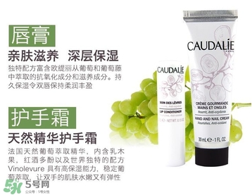 歐緹麗護手霜真假 歐緹麗葡萄籽護手霜真假鑒別