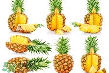 春節(jié)吃什么水果好？春節(jié)吃什么水果解油膩？