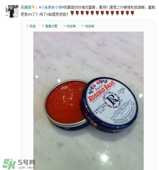 史密斯花蕾膏怎么用？史密斯花蕾膏使用方法