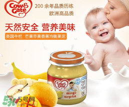 輔食泥哪個(gè)牌子好？輔食泥排行榜