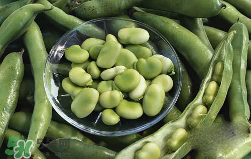 蠶豆糖尿病人可以吃嗎？糖尿病可以吃蠶豆嗎？