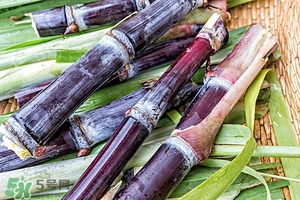 甘蔗皮有什么藥用功效？甘蔗皮的功效與作用