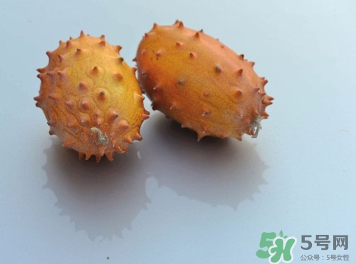 火參果的籽可以吃嗎?火參果籽的功效與作用 火參果的籽可以吃嗎?火參果籽的功效與作用