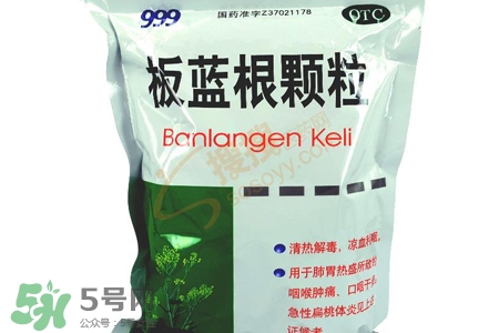 板藍根能天天喝嗎？板藍根可以經(jīng)常喝嗎？
