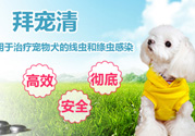 拜寵清要怎么喂？拜寵清驅(qū)蟲(chóng)藥說(shuō)明書
