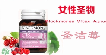 圣潔莓月經(jīng)期間可以吃嗎？圣潔莓不適人群