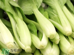 吃小白菜有什么好處?小白菜的功效與作用 吃小白菜有什么好處?小白菜的功效與作用