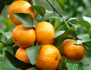 小橘子上火嗎？小橘子吃多了會(huì)上火嗎？