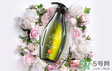 滋源洗發(fā)水怎么樣？滋源生姜洗發(fā)水怎么樣