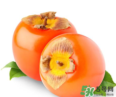 柿子籽能吃嗎？柿子籽的功效與作用