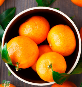 新鮮的桔子怎么保存？新鮮桔子儲存方法