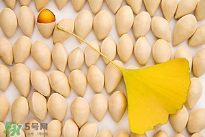 銀杏果皮怎么去掉?銀杏果皮有毒嗎? 銀杏果皮怎么去掉?銀杏果皮有毒嗎?