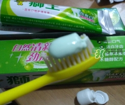 lion獅王是什么牌子？獅王是哪個(gè)國(guó)家的什么檔次？