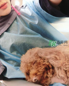 產(chǎn)后怎么護(hù)理頭發(fā)？生寶寶后頭發(fā)怎么護(hù)理