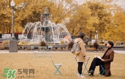 也許星星會(huì)帶走你的悲傷多少錢？也許星星會(huì)帶走你的悲傷價(jià)格