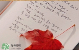 也許星星會(huì)帶走你的悲傷多少錢？也許星星會(huì)帶走你的悲傷價(jià)格