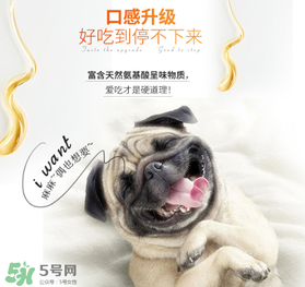 狗狗營養(yǎng)膏什么牌子好？狗狗營養(yǎng)膏多少錢？