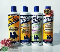 洗發(fā)水什么牌子好？洗發(fā)水2017品牌排行榜