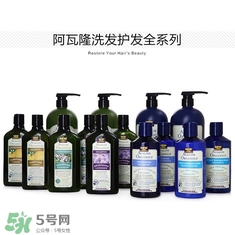 洗發(fā)水什么牌子好？洗發(fā)水2017品牌排行榜