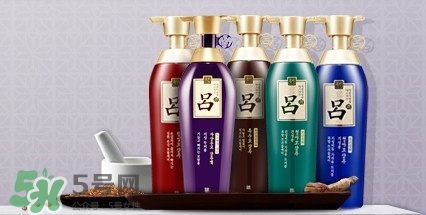 洗發(fā)水什么牌子好？洗發(fā)水2017品牌排行榜