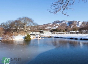 冬至要上墳嗎？冬至為什么要上墳？