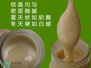 冬蜜是什么蜜？冬蜜的功效與作用