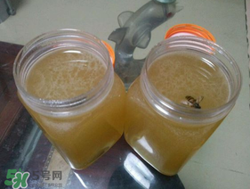 冬蜜多少錢一斤？冬蜜如何辨別真假？