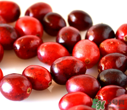 蔓越莓可以和什么一起榨汁？蔓越莓榨汁搭配