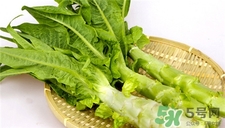 萵筍葉子的營養(yǎng)價(jià)值 萵筍葉子的功效與作用