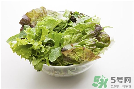 萵筍葉子的營養(yǎng)價(jià)值 萵筍葉子的功效與作用 萵筍葉子的營養(yǎng)價(jià)值 萵筍葉子的功效與作用