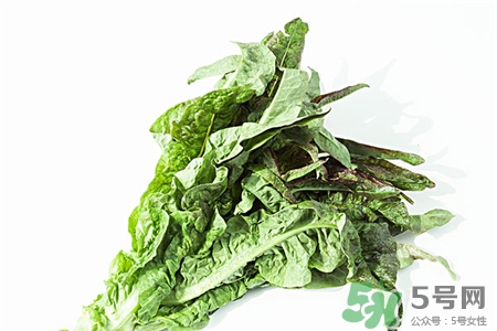 萵筍葉子的營養(yǎng)價(jià)值 萵筍葉子的功效與作用 萵筍葉子的營養(yǎng)價(jià)值 萵筍葉子的功效與作用