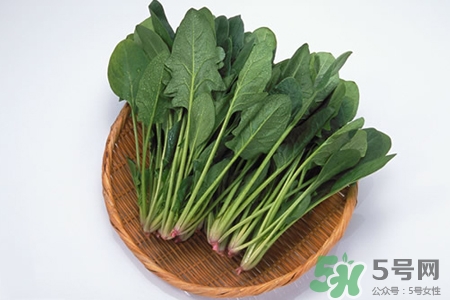 菠菜可以天天吃嗎？多吃菠菜對(duì)身體好嗎？