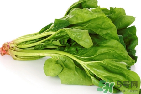 吃菠菜能喝牛奶嗎？菠菜和牛奶能一起吃嗎？