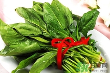 菠菜不能和什么一起吃？菠菜和什么食物相克嗎？