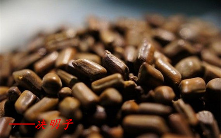 決明子有助于睡眠嗎 決明子的藥用價(jià)值