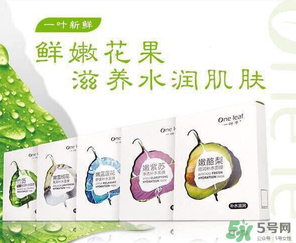 一葉子是哪個國家的？一葉子面膜是哪個國家的？
