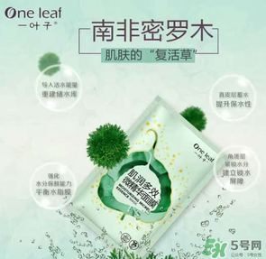 一葉子是哪個國家的？一葉子面膜是哪個國家的？
