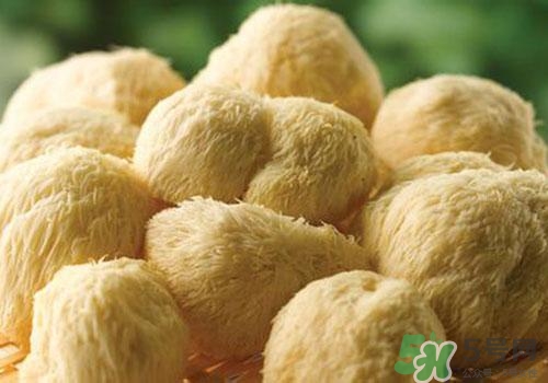 猴頭菇苦可以吃嗎？猴頭菇苦怎么回事？