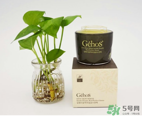 姬存希是哪個(gè)國家的？姬存希是哪里產(chǎn)的？