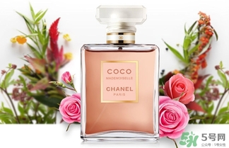 香奈兒黑coco香水和白coco香水哪個好？香奈兒黑可可和白可可選擇