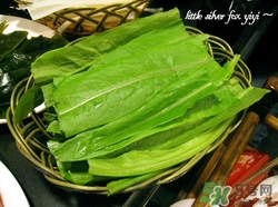 灰菜是什么菜?灰菜的功效與作用 灰菜是什么菜?灰菜的功效與作用