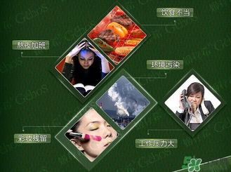 姬存希黃瓜膠多少錢？姬存希黃瓜膠價格