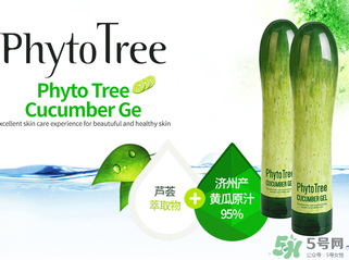 姬存希黃瓜膠多少錢？姬存希黃瓜膠價格