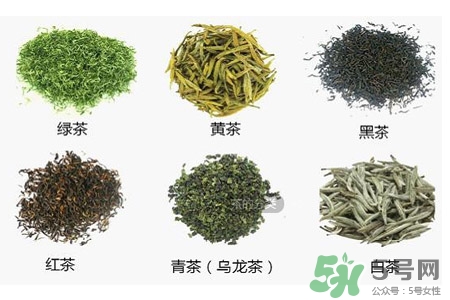 吃完飯能馬上喝茶嗎？飯前喝茶好還是飯后喝茶好？