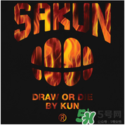 sakun是大品牌嗎？sakun是什么牌子