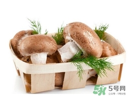 香菇顏色深好還是淺好？鮮香菇顏色越深越好嗎？